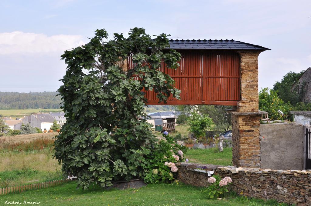 Apartamentos A Palleira Barreiros Εξωτερικό φωτογραφία